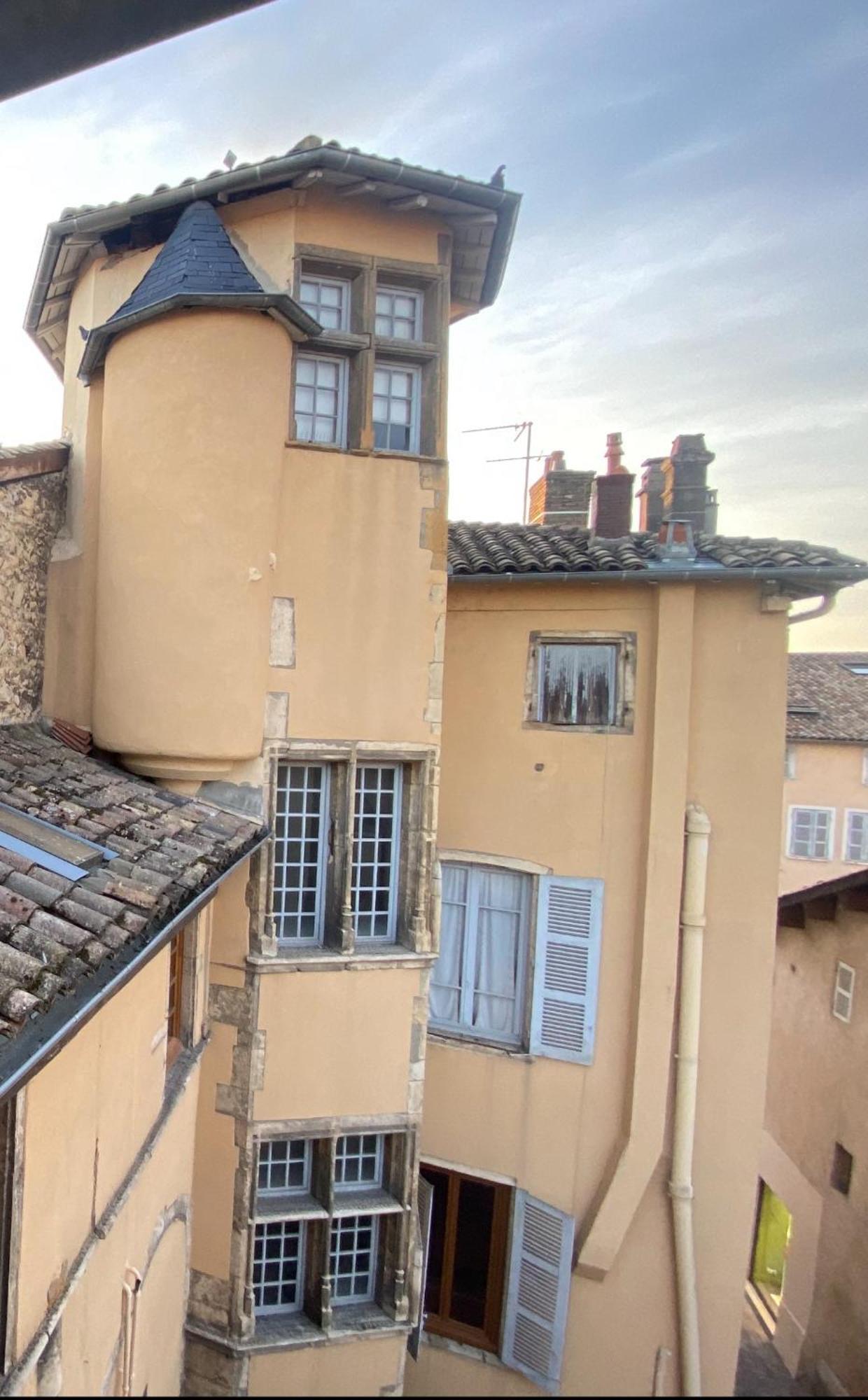 Appartements Centre Ville Villefranche-sur-Saône Dış mekan fotoğraf